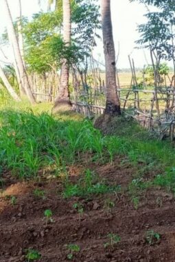 berita-rekomendasi-foto