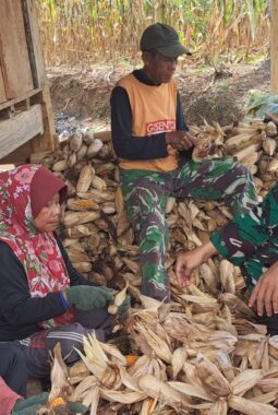 berita-rekomendasi-foto