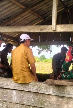 berita-rekomendasi-foto