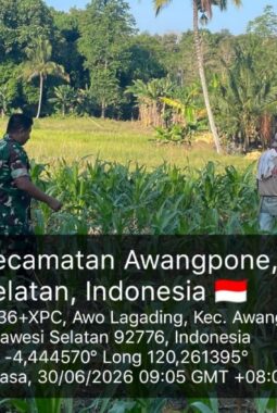 berita-rekomendasi-foto