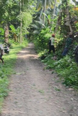 berita-rekomendasi-foto