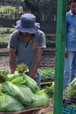 berita-rekomendasi-foto