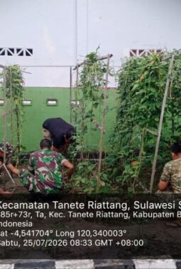 berita-rekomendasi-foto